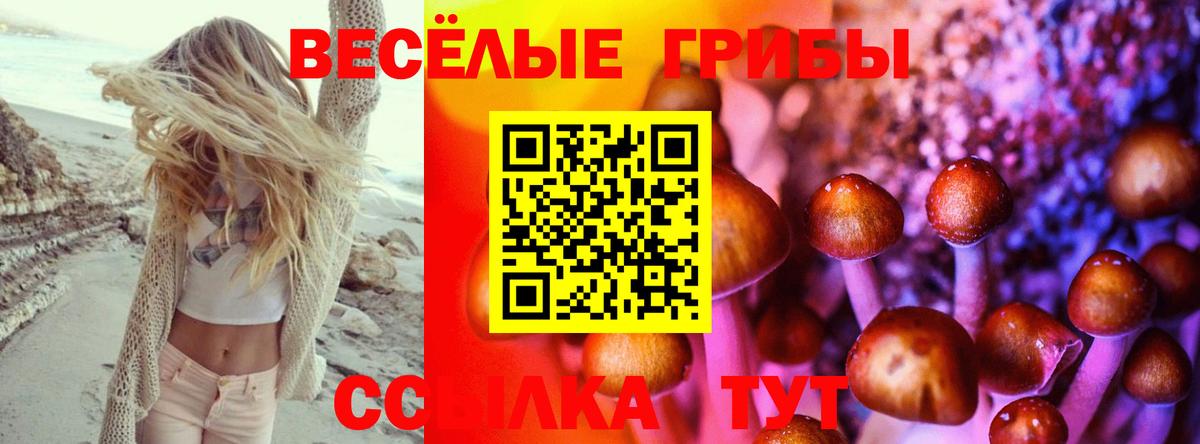 Псилоцибиновые грибы мухоморы Приморско-Ахтарск