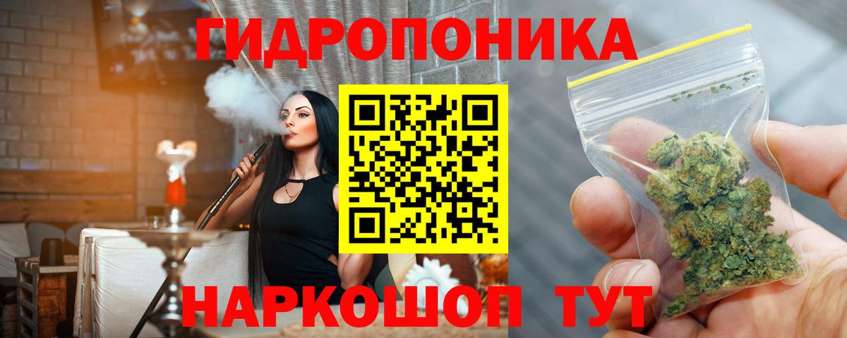 Бошки Шишки план  Бошки марихуана OG Kush  Вход с VPN  Бошки марихуана OG Kush  Приморско-Ахтарск 
